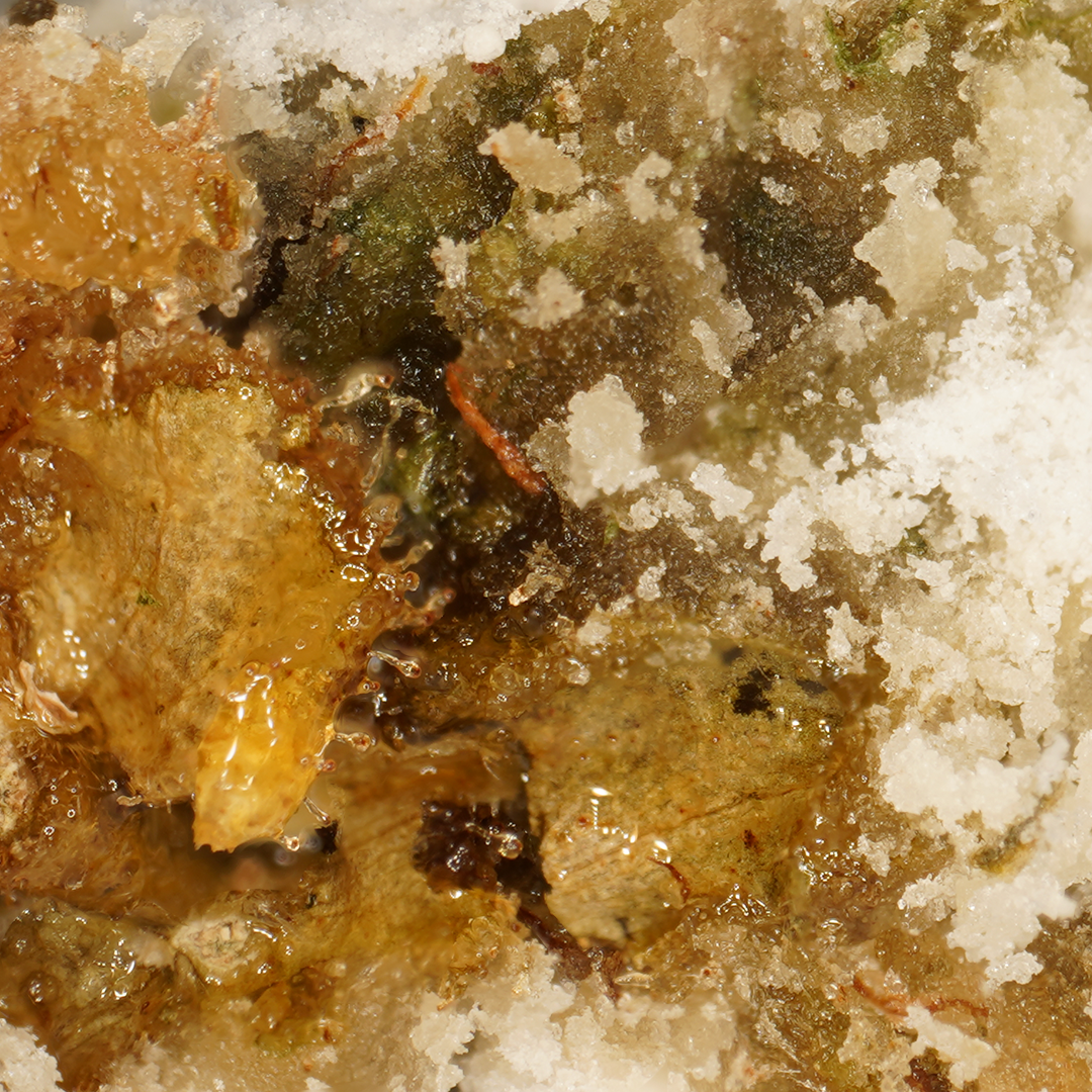 Ice Rock CBD [Intérieur]