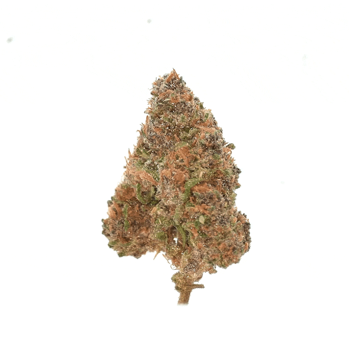 Sour Diesel [Sous-serre]