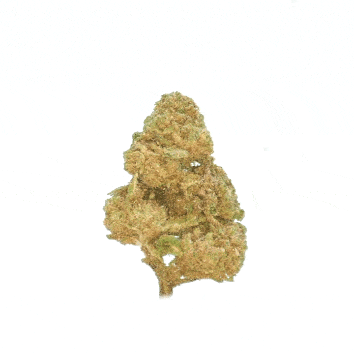 Cookie Kush [Intérieur]