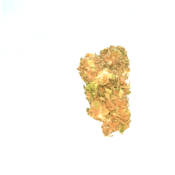 BUBBA KUSH CBD ( sous serre )