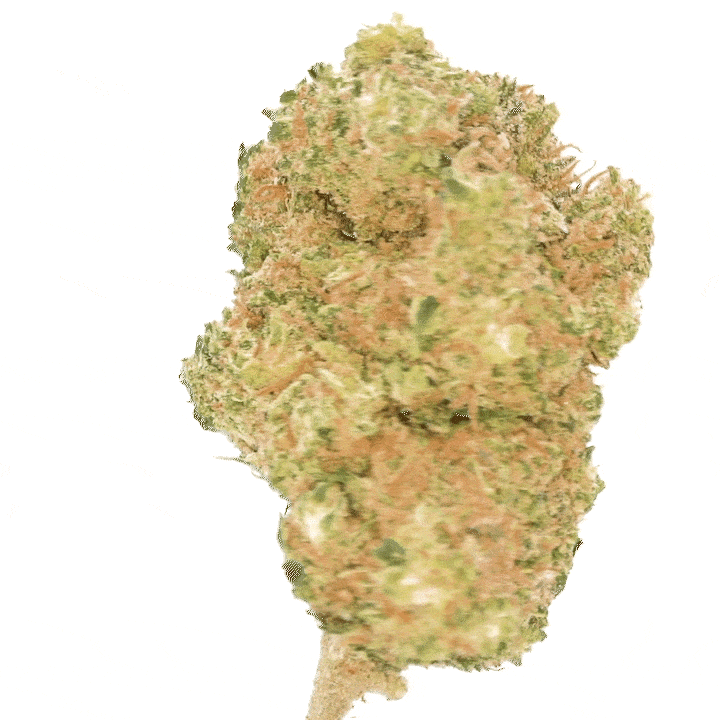 Mandarine [Hydroponique]