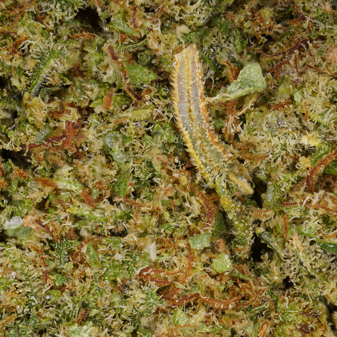 Mandarine [Hydroponique]